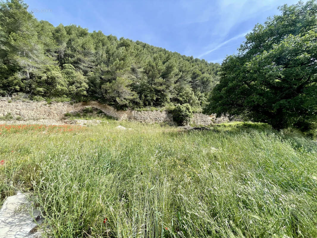 Terrain à VAISON-LA-ROMAINE