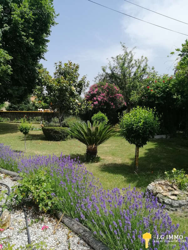 Maison à BRIE-SOUS-MORTAGNE