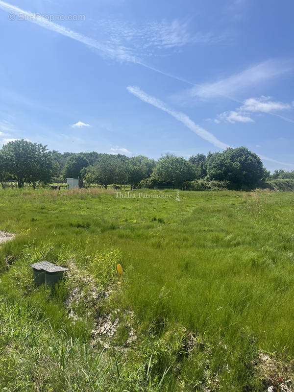 Terrain à SAINT-SULPICE-ET-CAMEYRAC