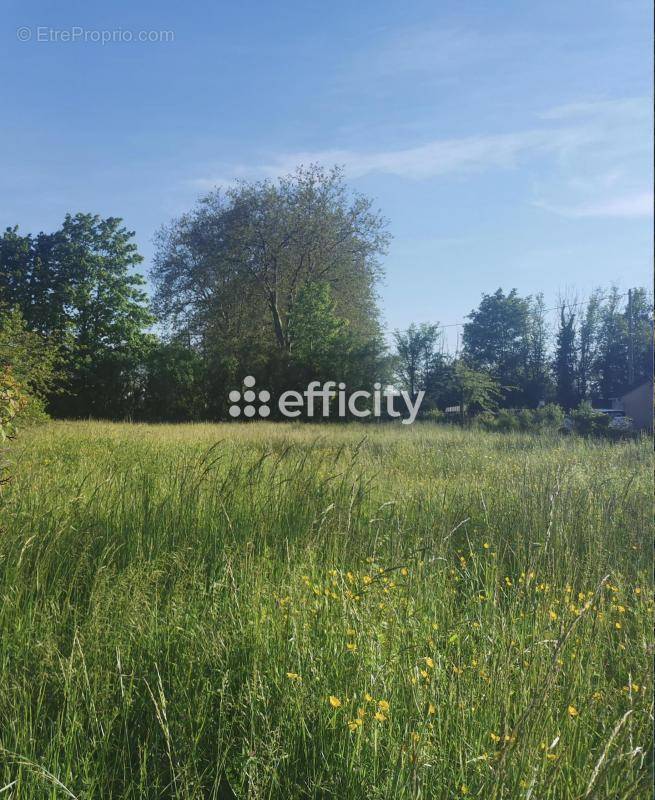 Terrain à JALIGNY-SUR-BESBRE