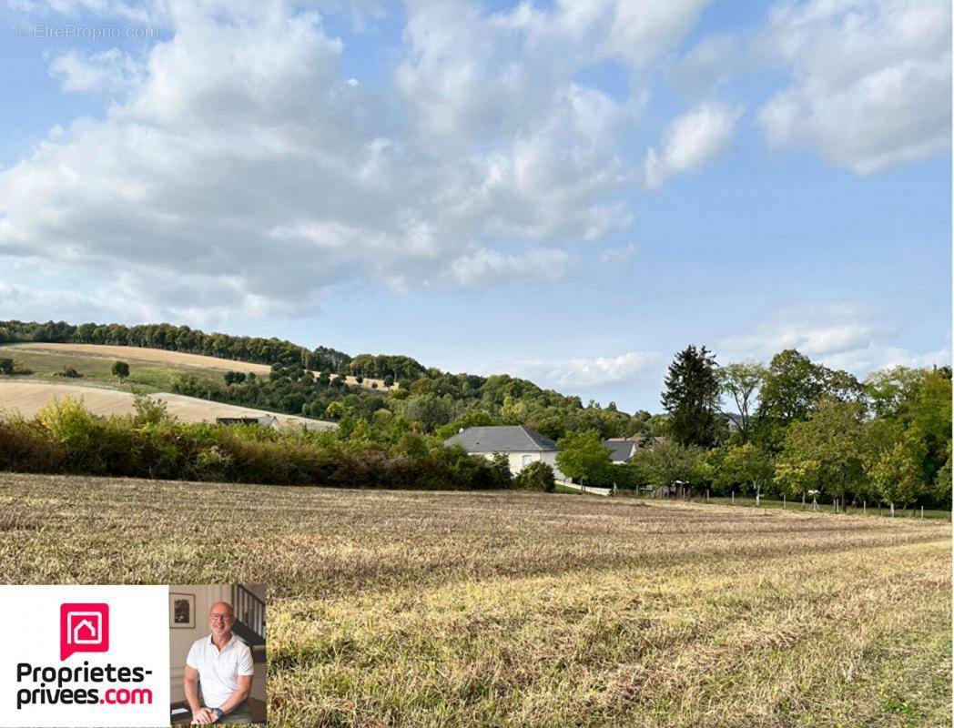 Terrain à SOULIGNY