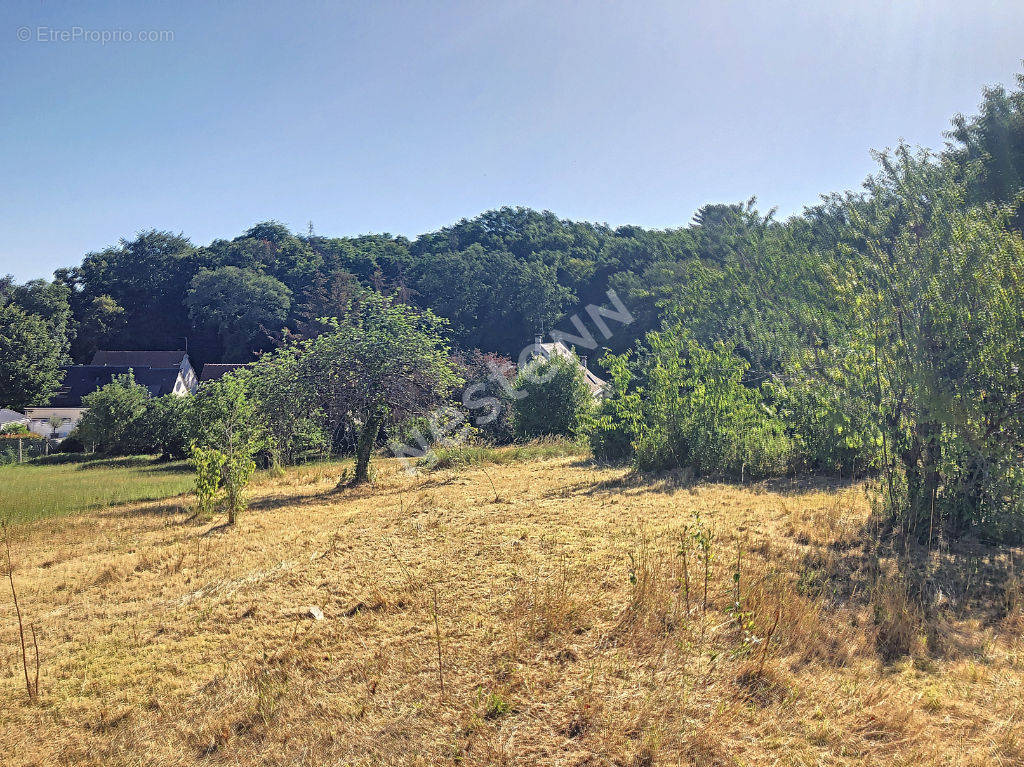 Terrain à SAINT-GERVAIS-LA-FORET