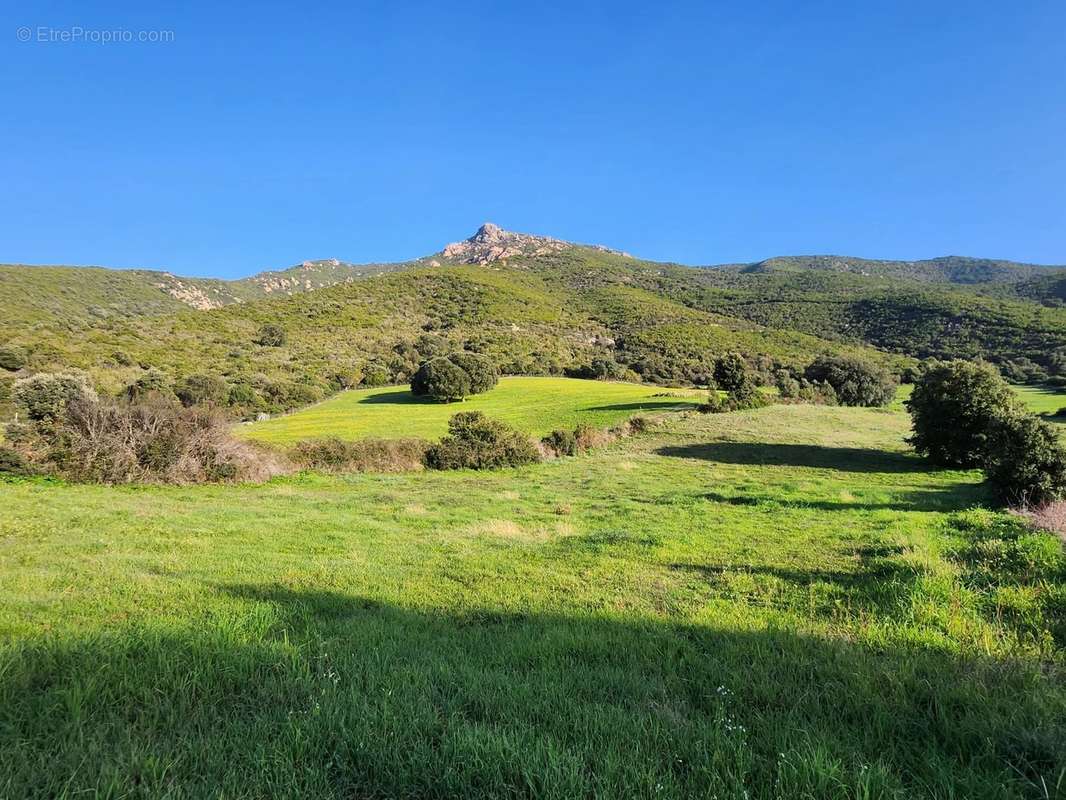 Terrain à BASTELICACCIA