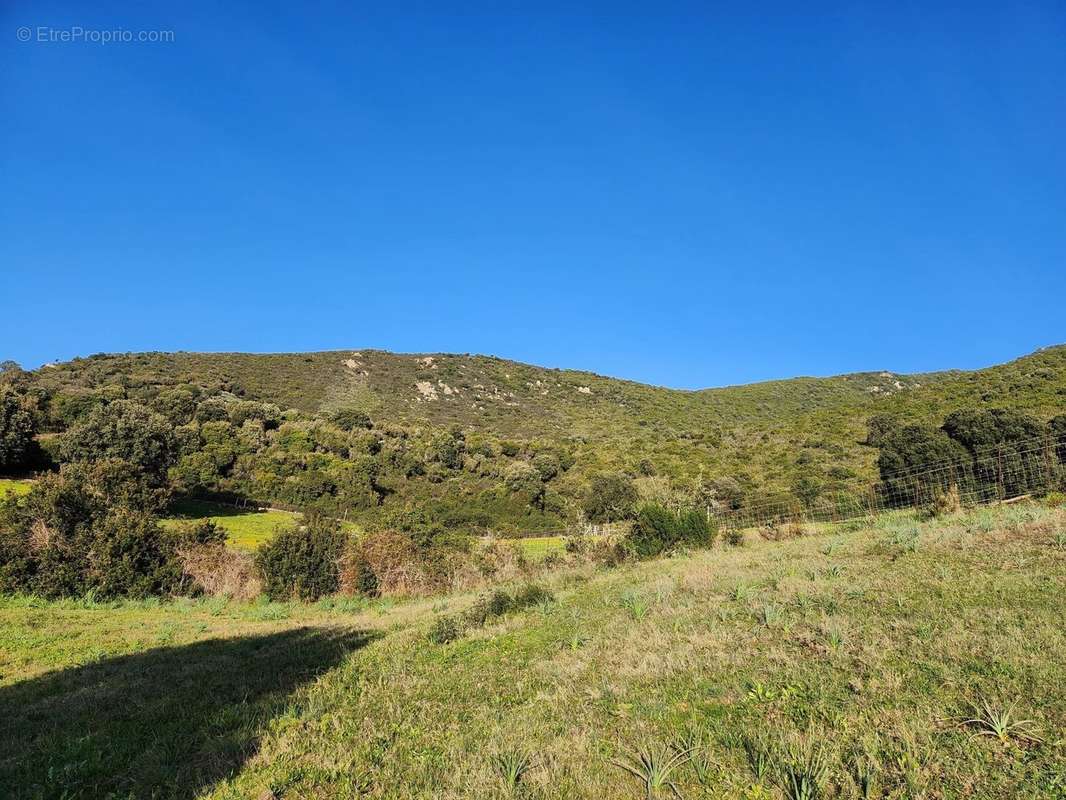 Terrain à BASTELICACCIA