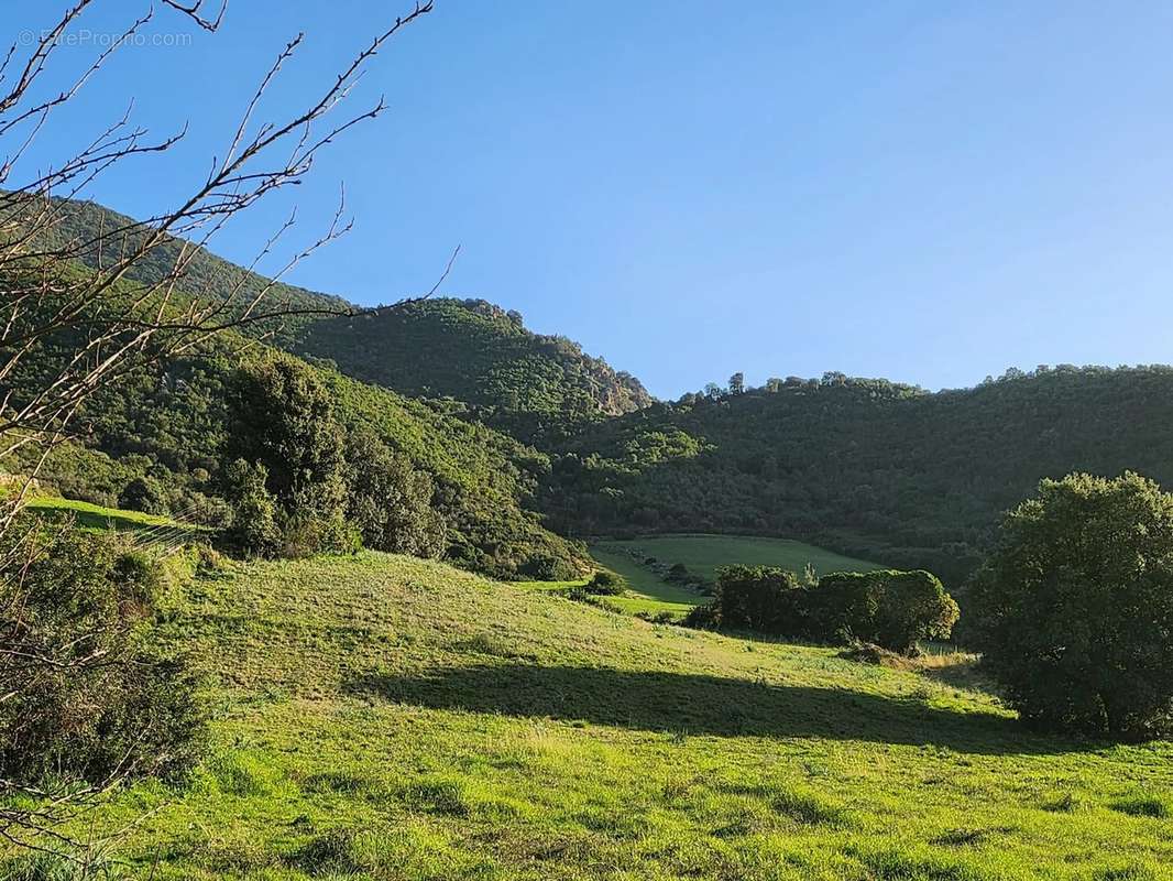 Terrain à BASTELICACCIA