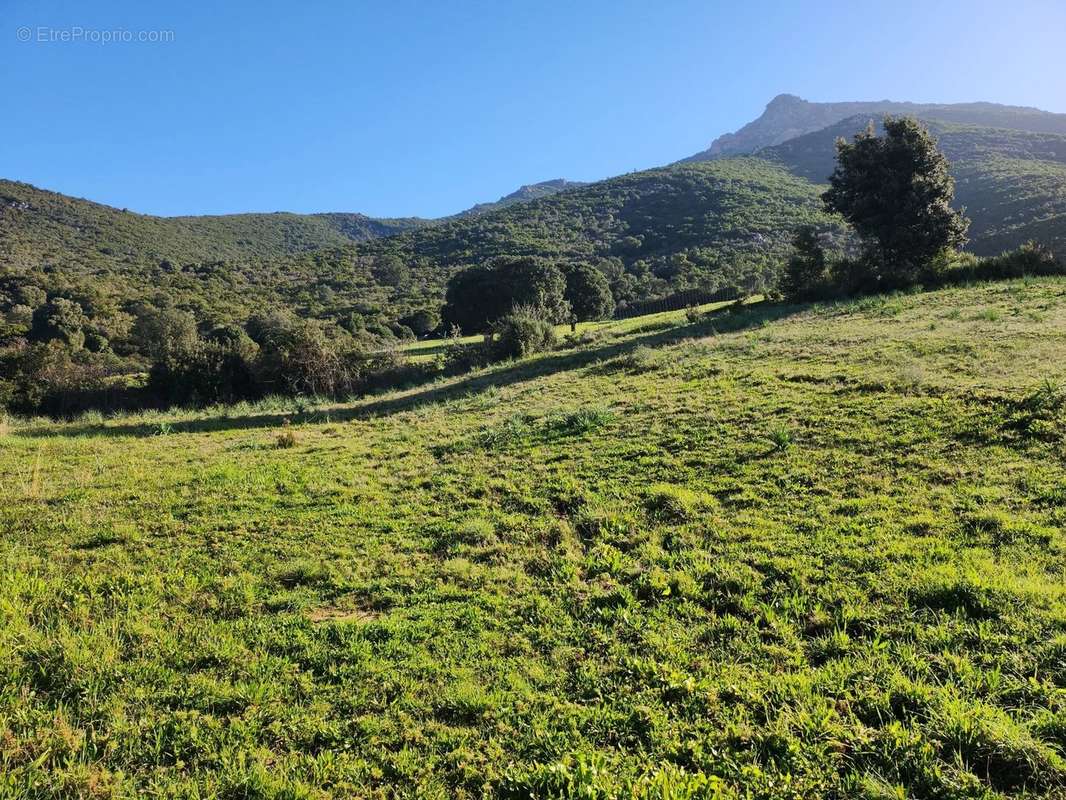 Terrain à BASTELICACCIA