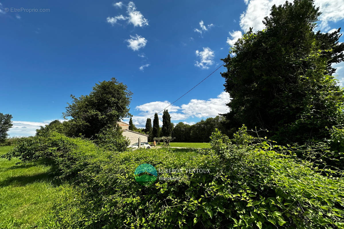 Maison à CAVAILLON