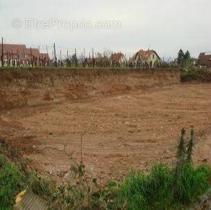 Terrain à DAMBACH-LA-VILLE