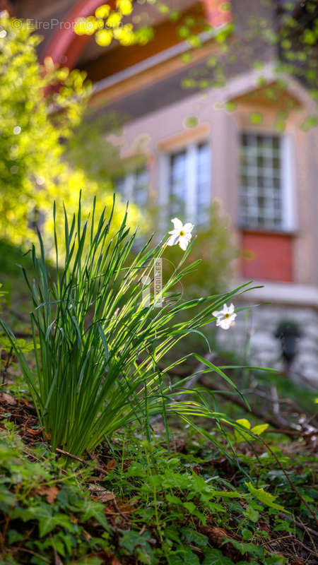 Maison à VENEUX-LES-SABLONS