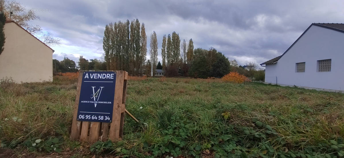 Terrain à SARRALBE