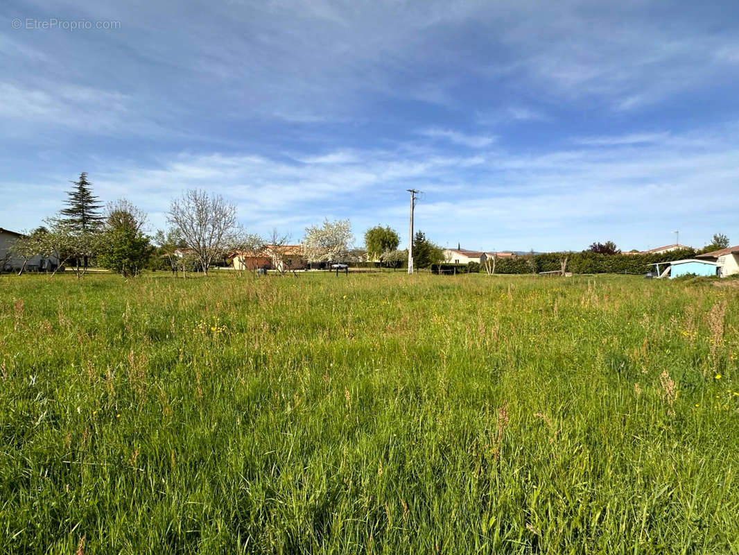 Terrain à REPLONGES