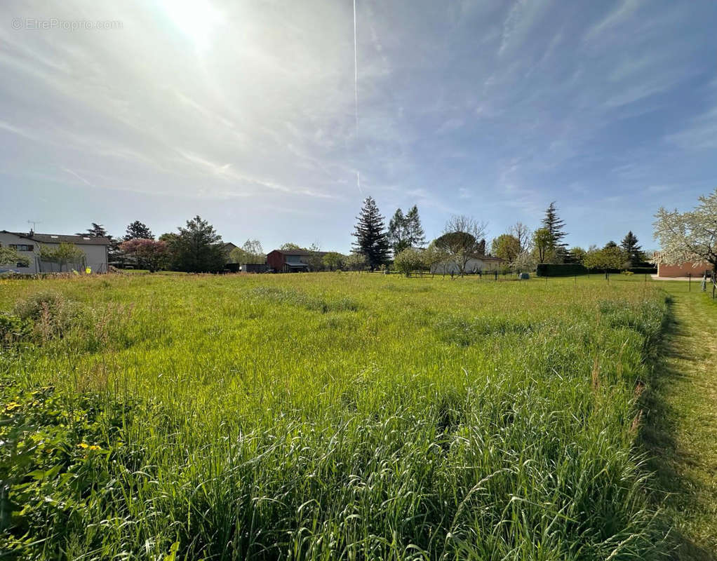 Terrain à REPLONGES