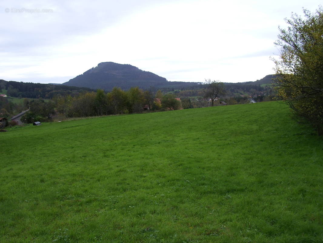 Terrain à SAINT-BLAISE-LA-ROCHE