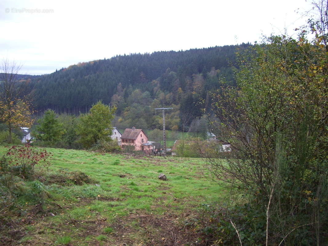 Terrain à SAINT-BLAISE-LA-ROCHE