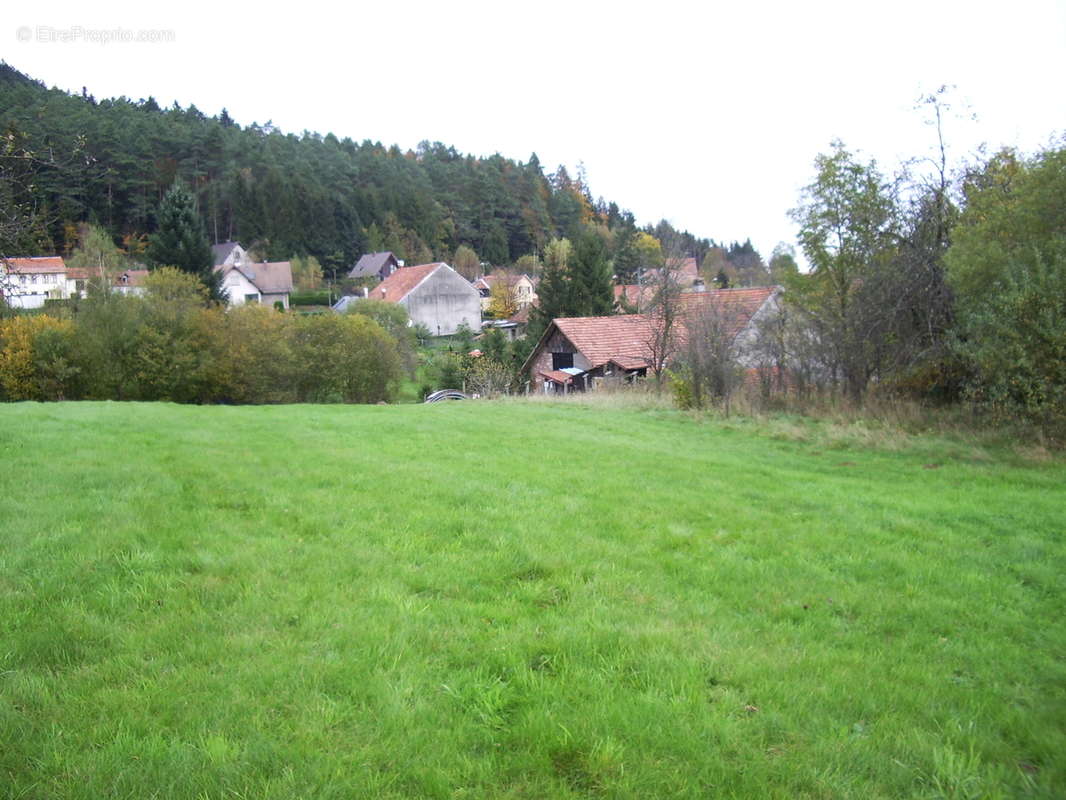 Terrain à SAINT-BLAISE-LA-ROCHE