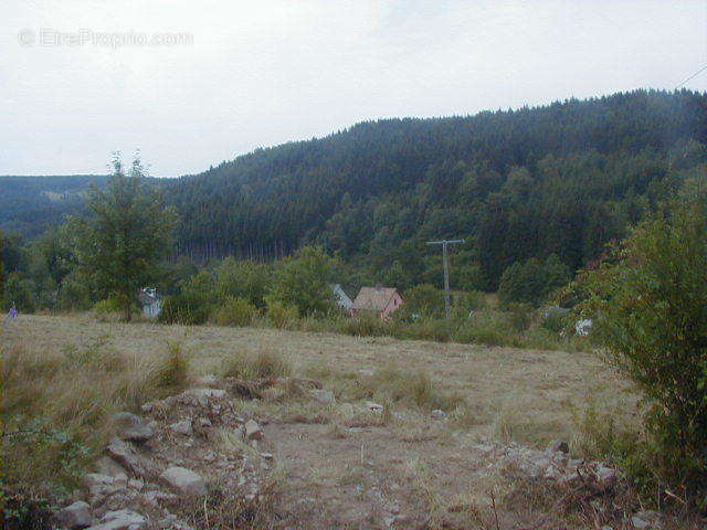 Terrain à SAINT-BLAISE-LA-ROCHE