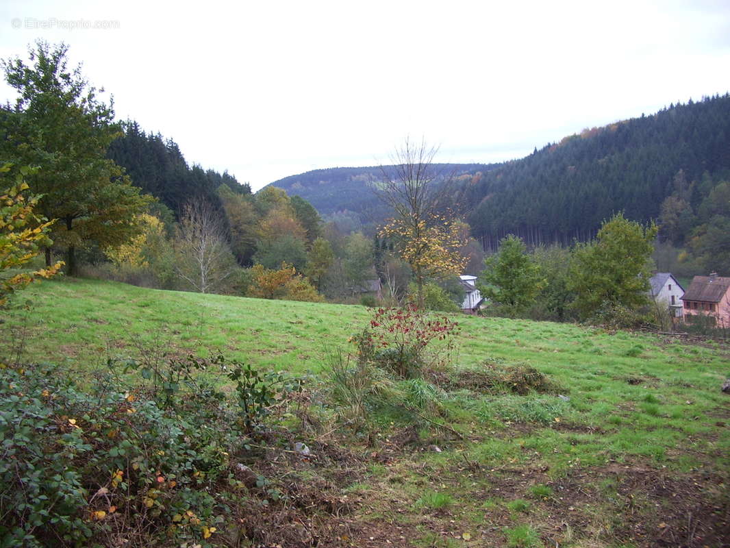 Terrain à SAINT-BLAISE-LA-ROCHE