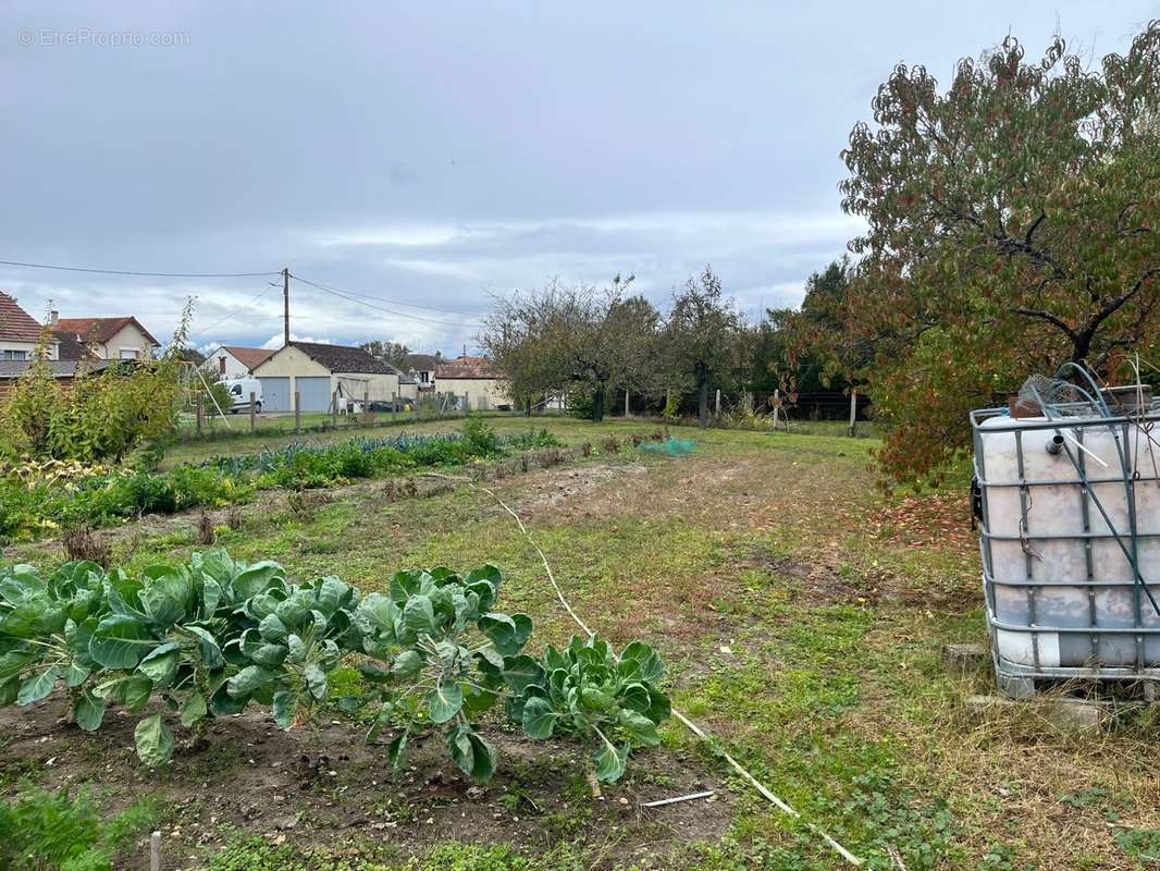 Terrain à SELLES-SAINT-DENIS