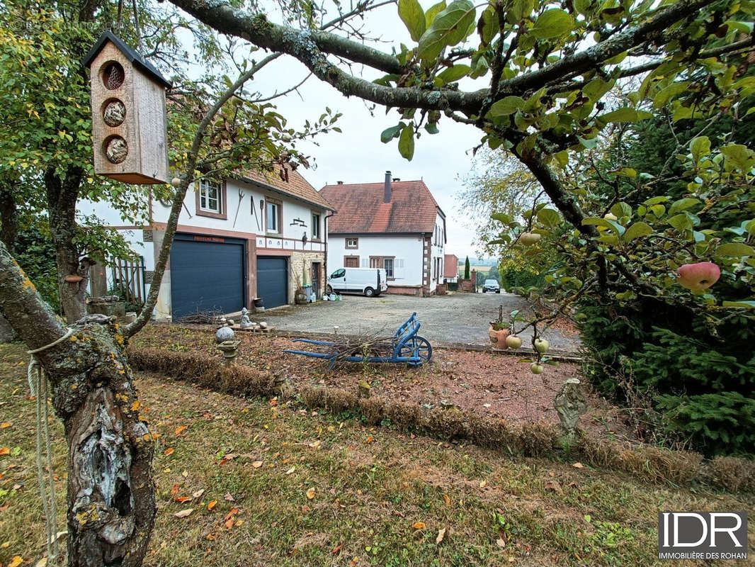 Maison à PHALSBOURG