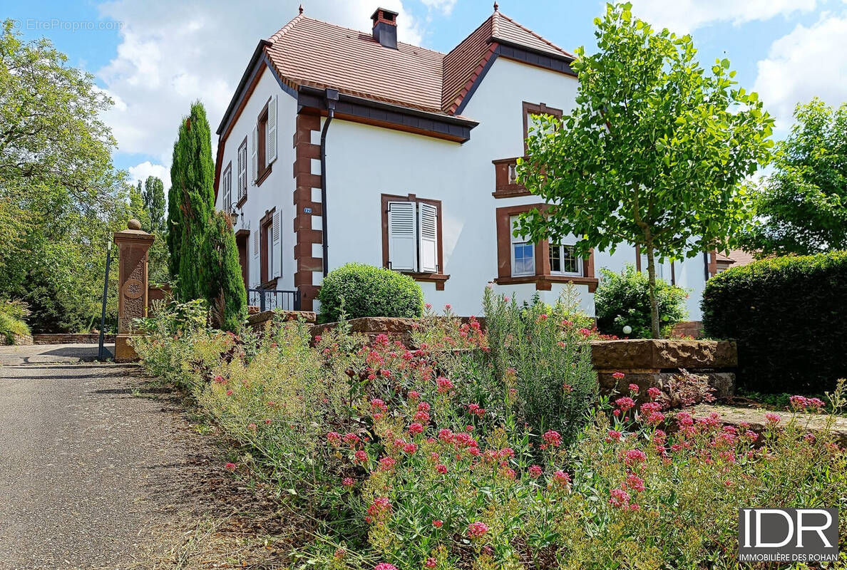 Maison à PHALSBOURG