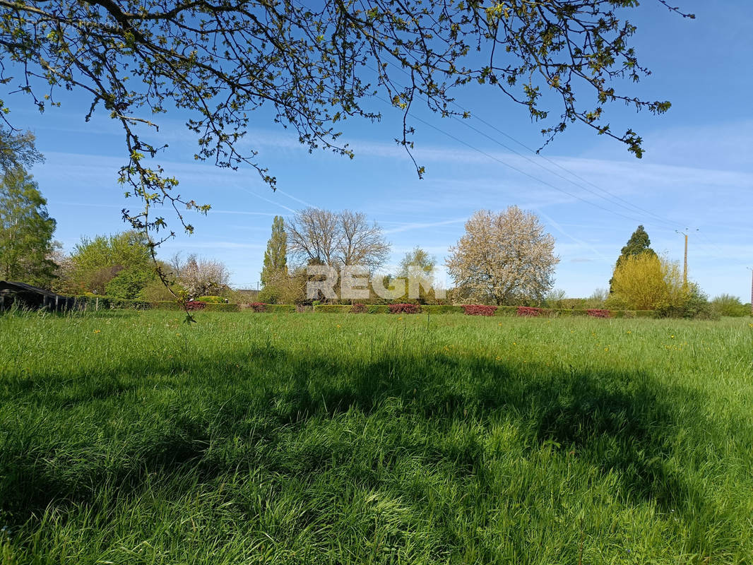 Terrain à LA VICOMTE-SUR-RANCE