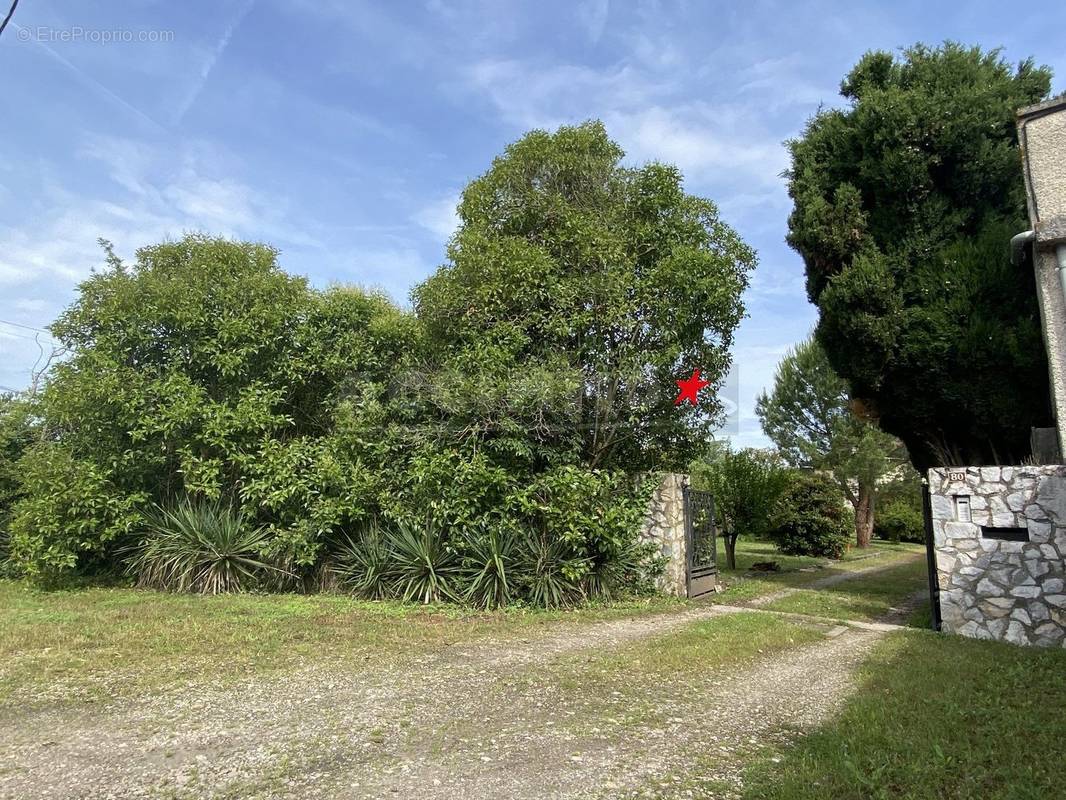 Terrain à BUZET-SUR-TARN