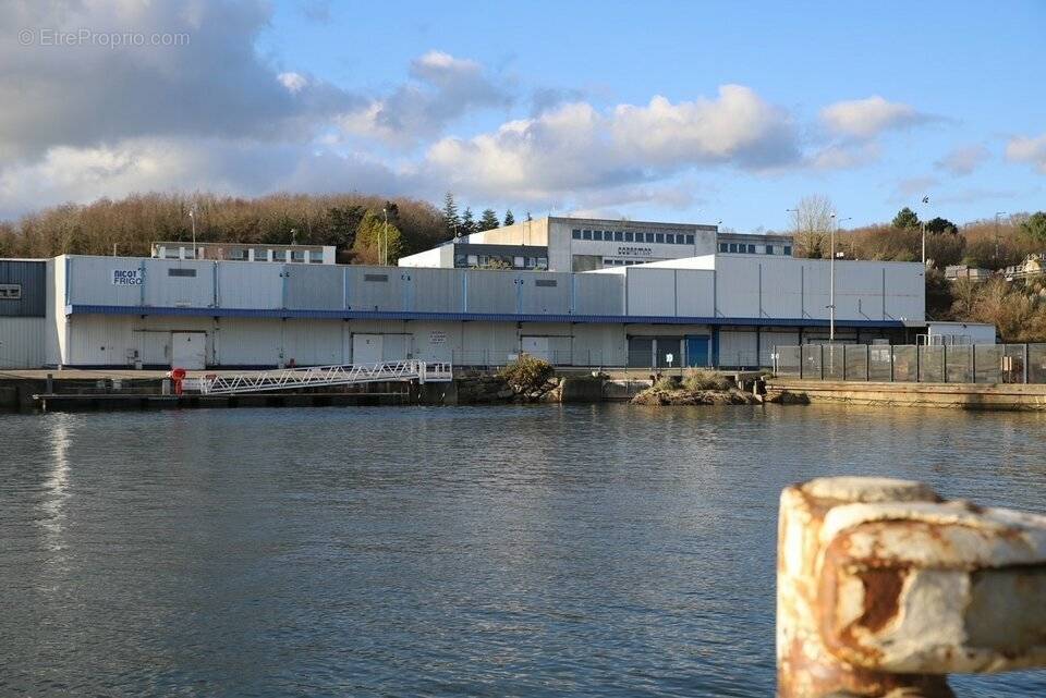 Commerce à CONCARNEAU