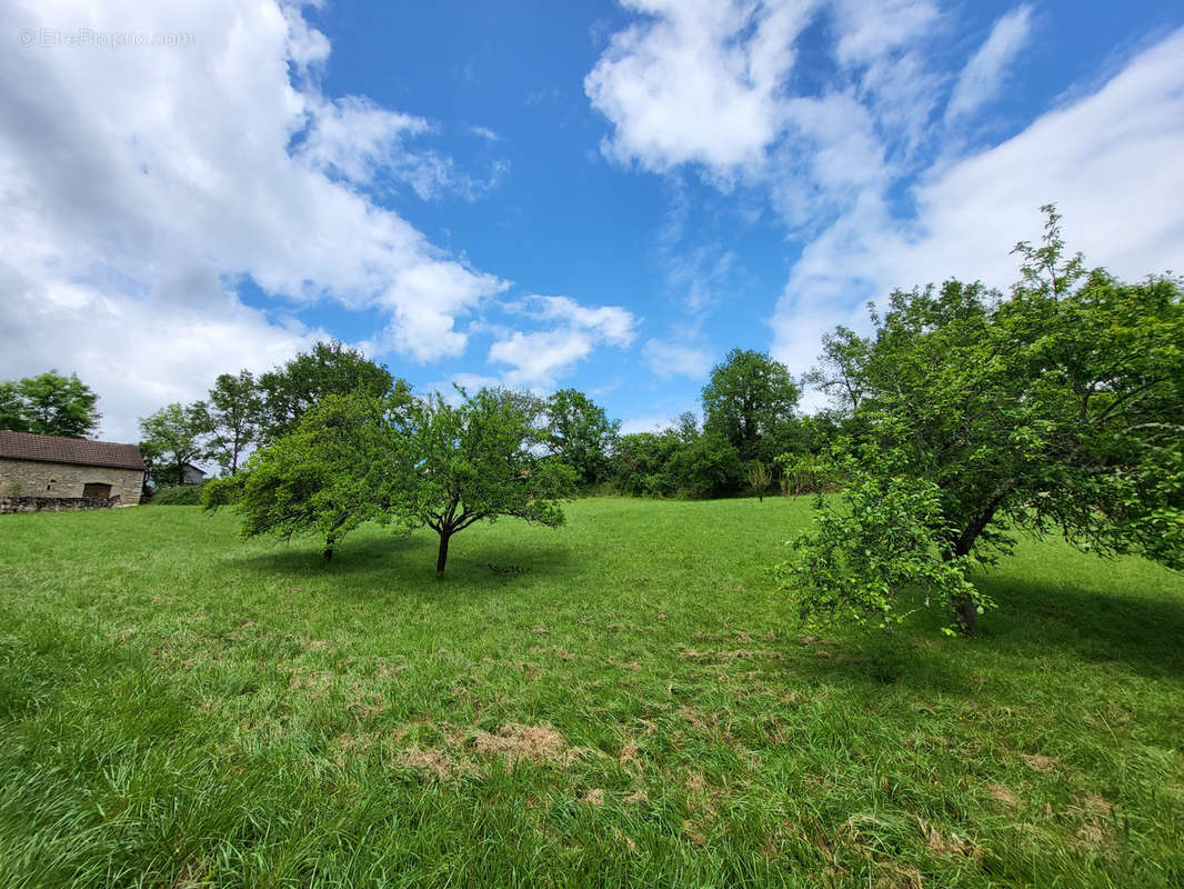 Terrain à LISSAC-ET-MOURET