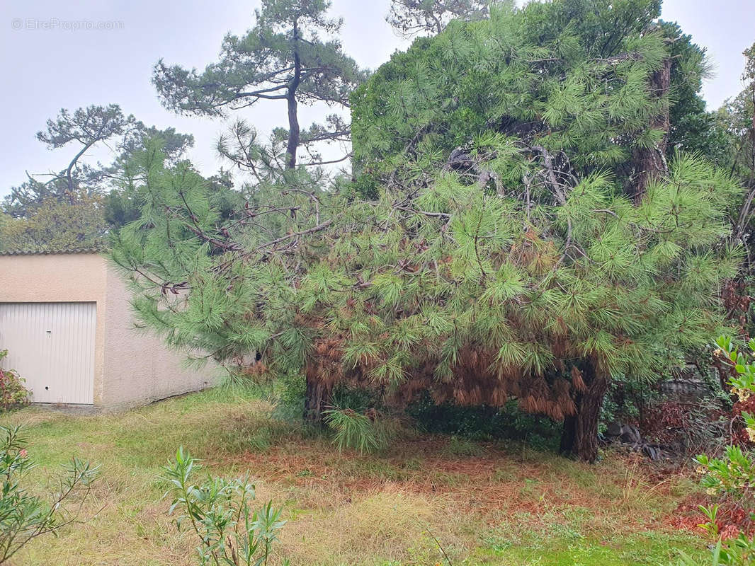 Maison à LEGE-CAP-FERRET