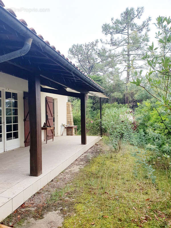 Maison à LEGE-CAP-FERRET