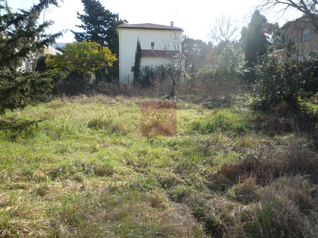 Terrain à MONTPELLIER