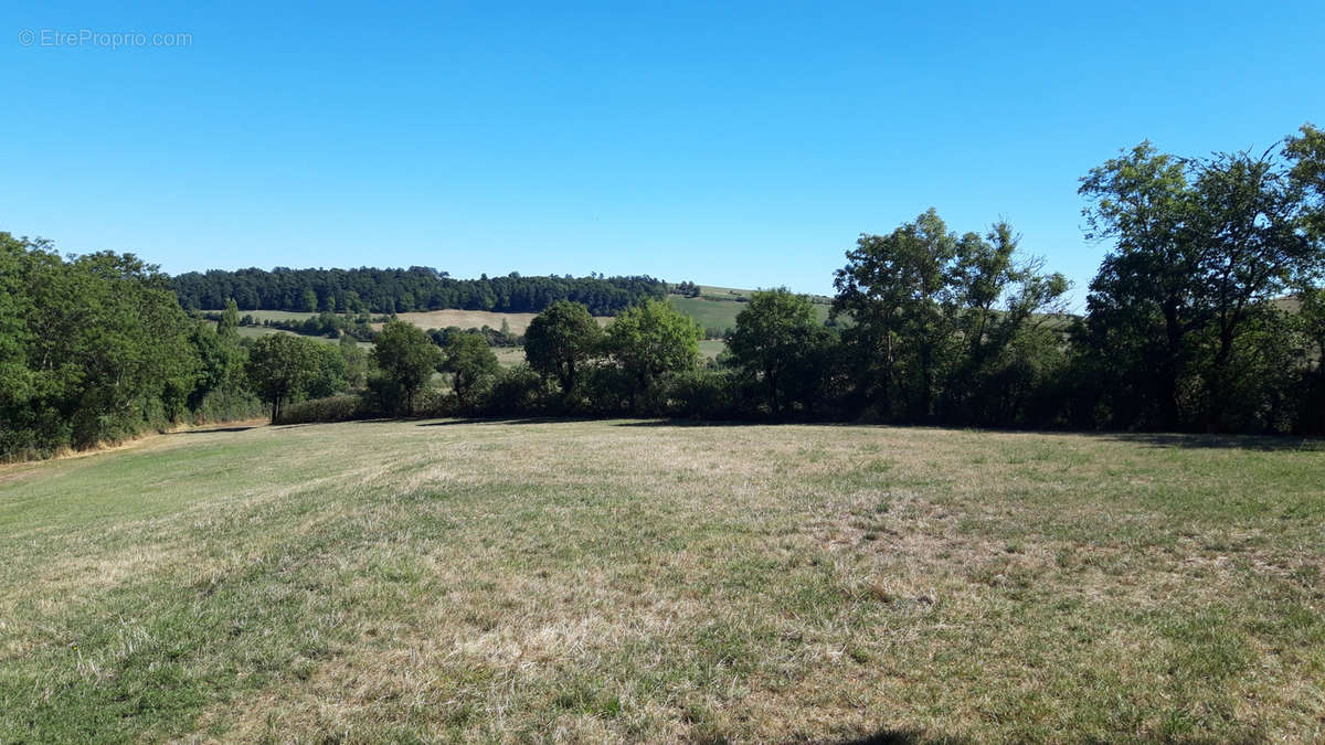 Terrain à SEVERAC-LE-CHATEAU