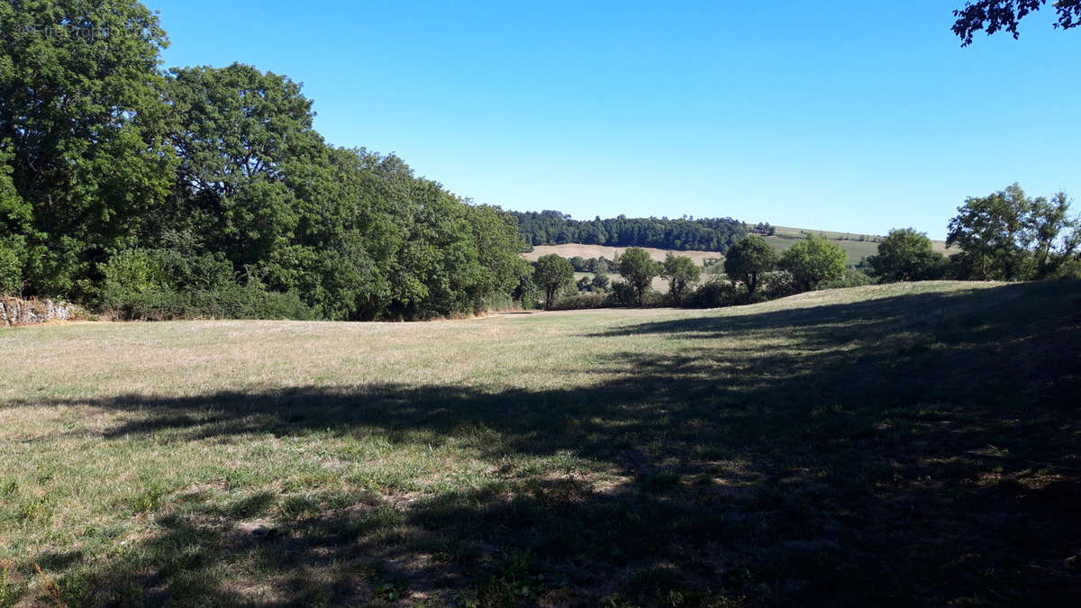 Terrain à SEVERAC-LE-CHATEAU