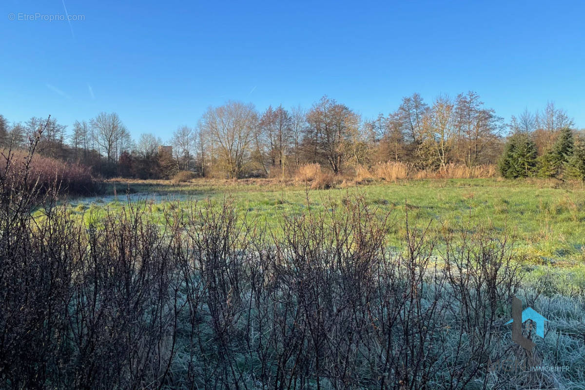 Terrain à ALLUYES