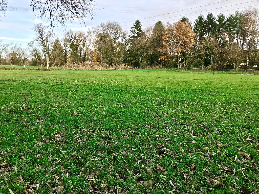 Terrain à CHEMERY-LES-DEUX