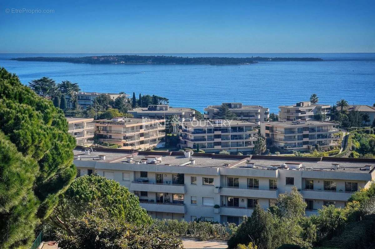 Maison à CANNES