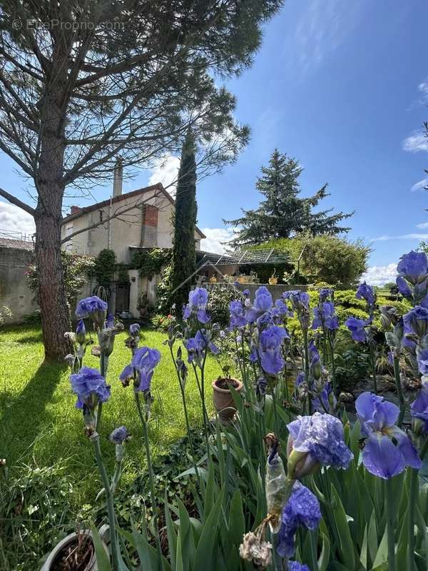 Maison à NAVES