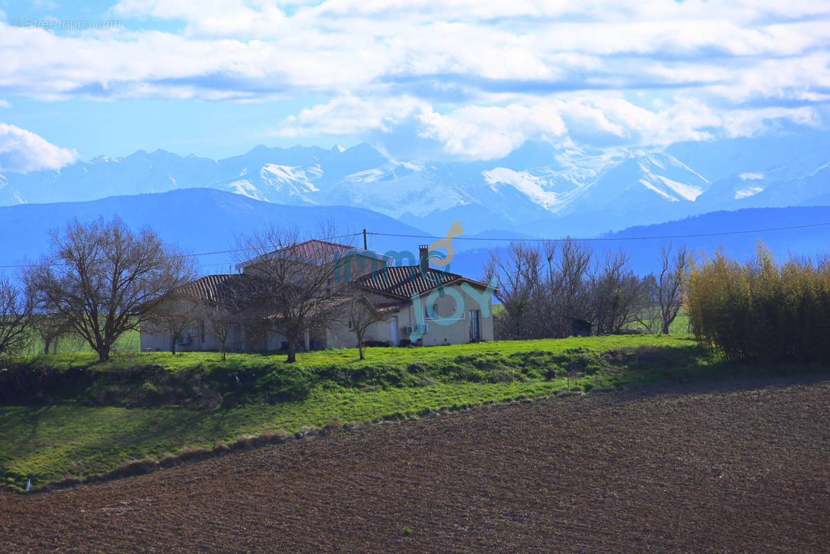 Maison à ESPERCE