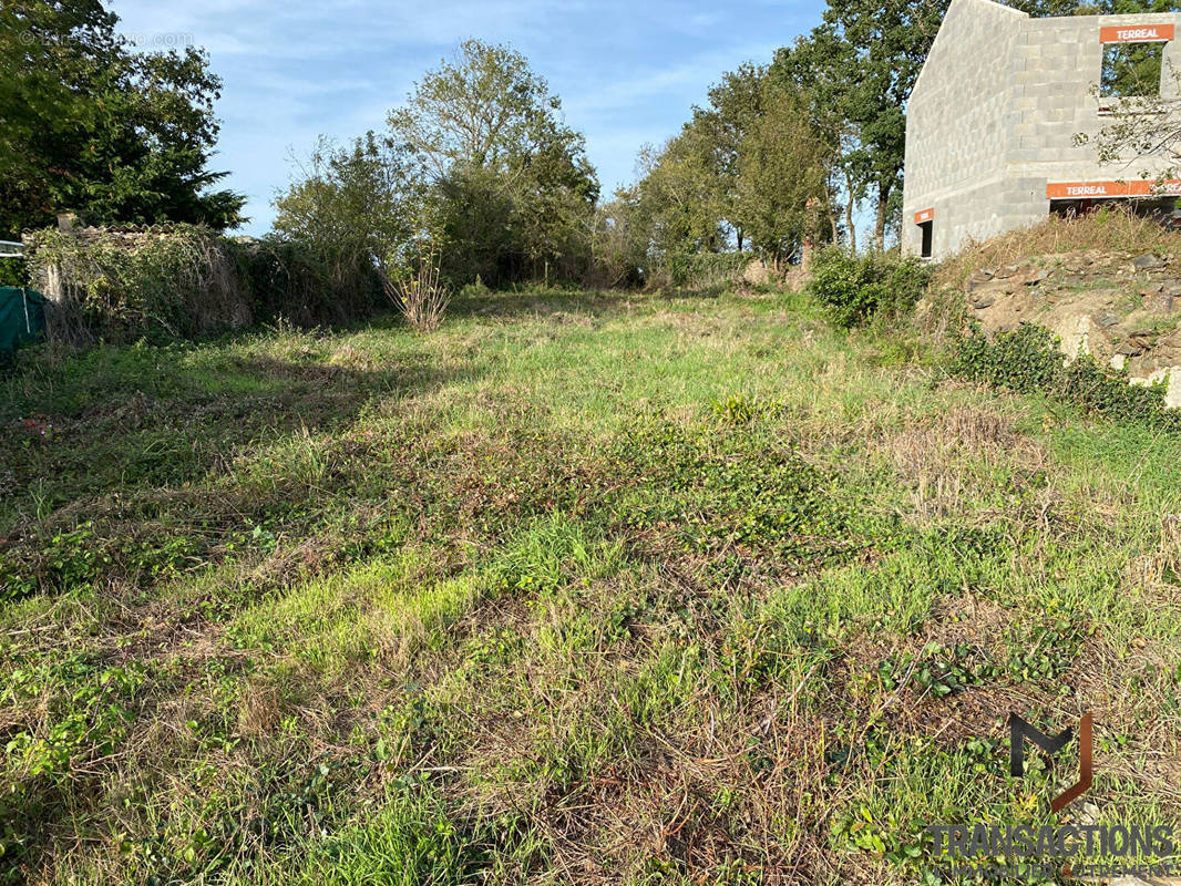 Terrain à MACHECOUL