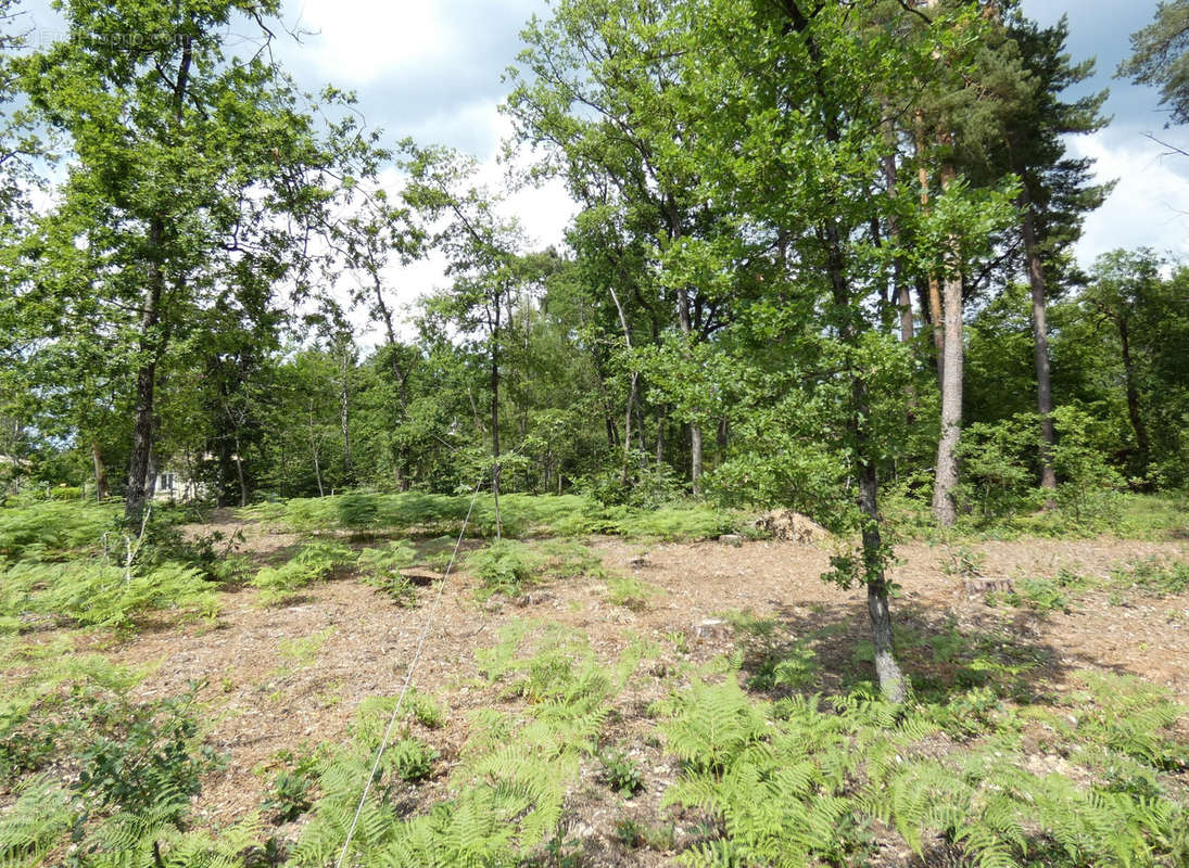 Terrain à MARSAC-SUR-L&#039;ISLE