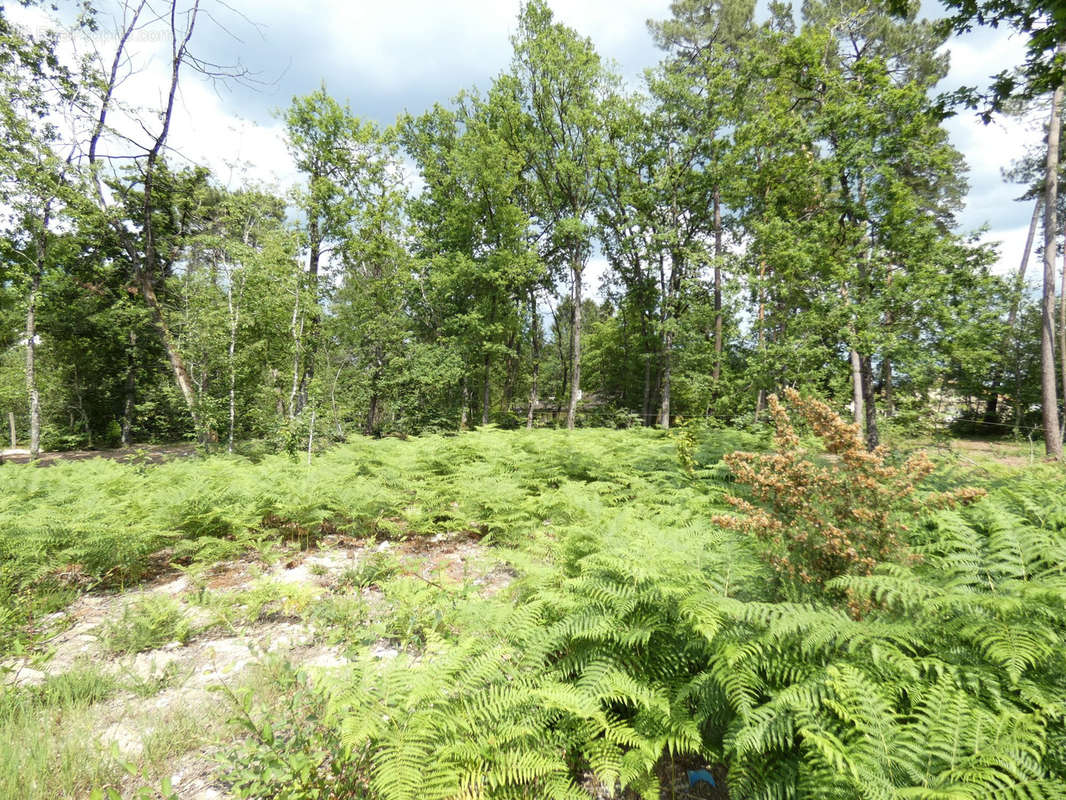 Terrain à MARSAC-SUR-L&#039;ISLE