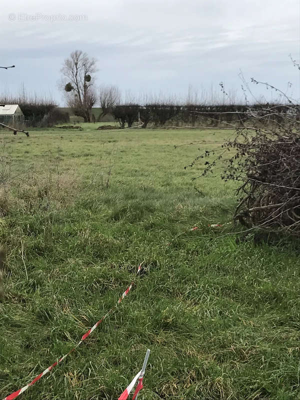 Terrain à BELLIGNIES