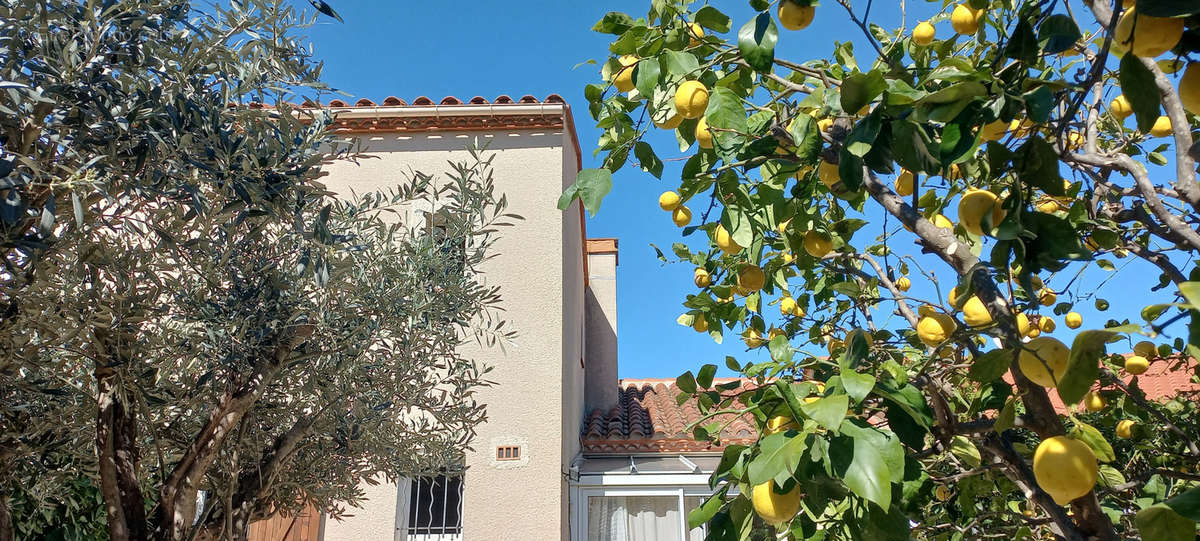 Maison à ARGELES-SUR-MER