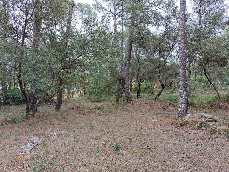 Terrain à SILLANS-LA-CASCADE