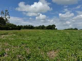 Terrain à PACY-SUR-EURE