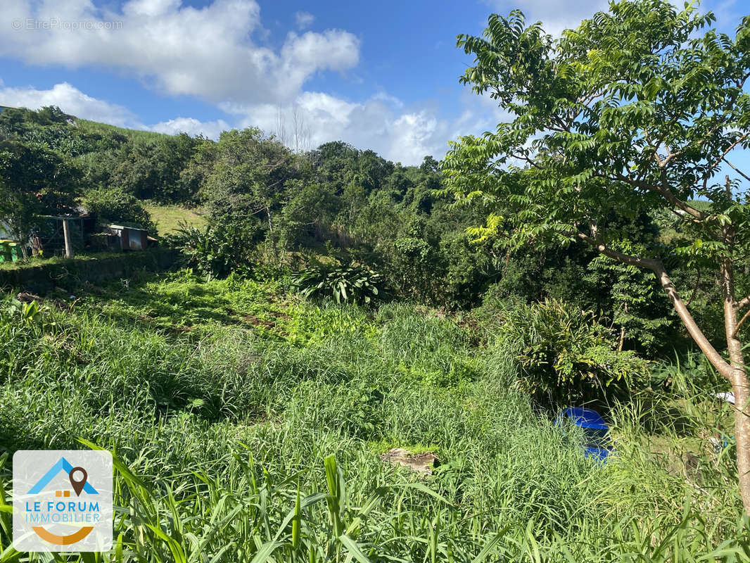 Terrain à PETITE-ILE