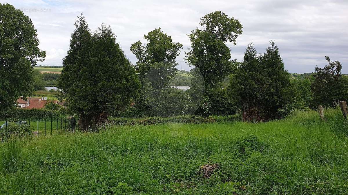 Terrain à BRIMEUX