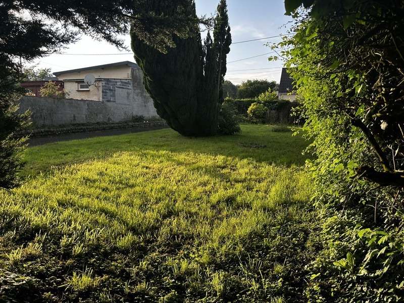 Maison à BOUE