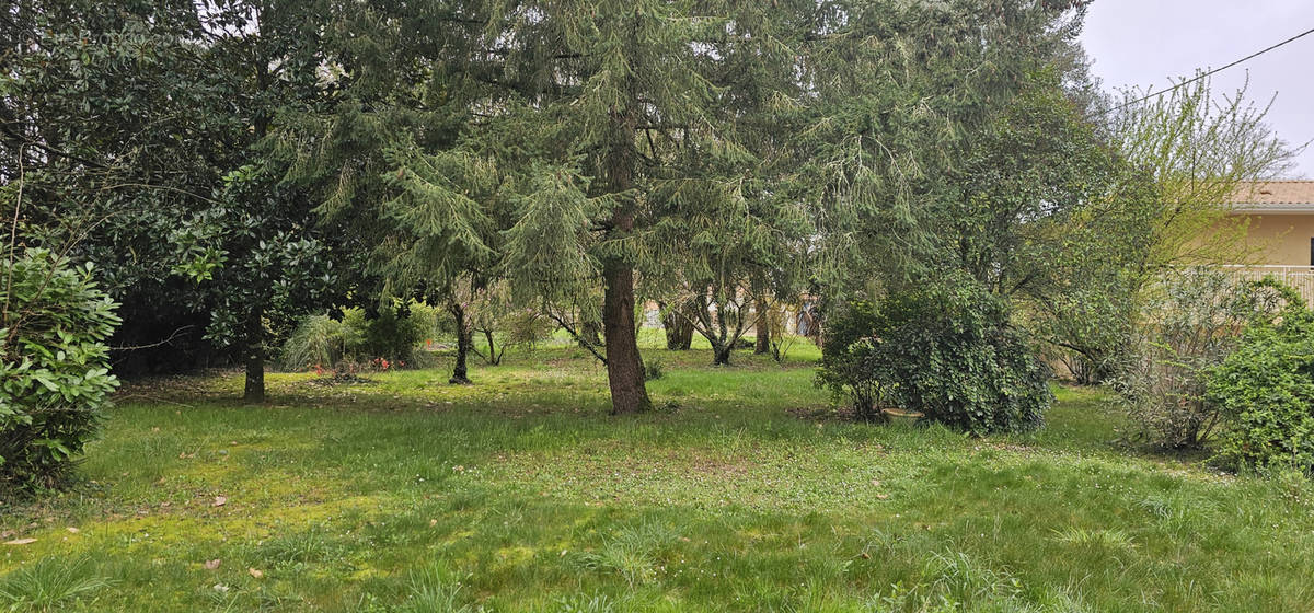 Terrain à CASTELNAU-DE-MEDOC