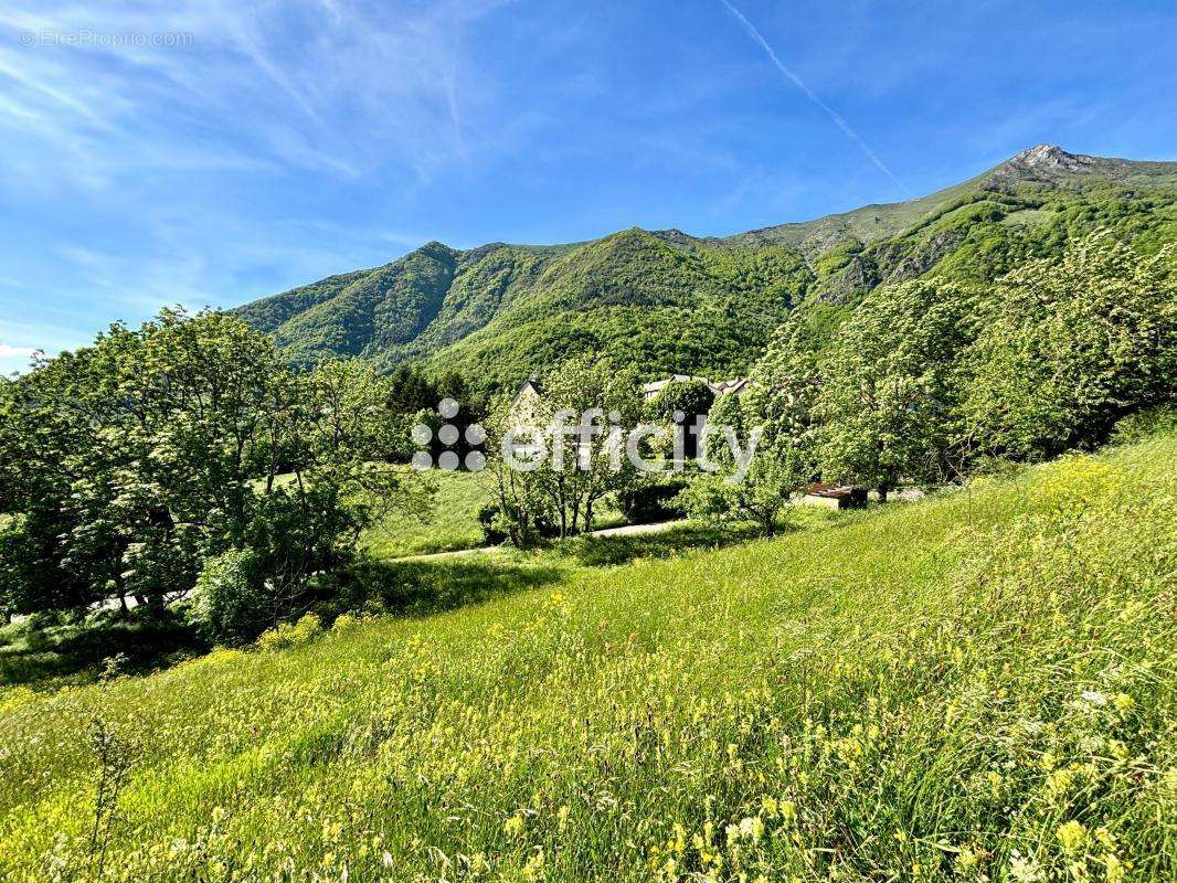 Terrain à ASPRES-LES-CORPS